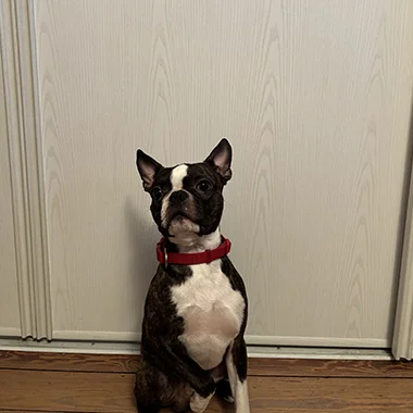 Photo de Monsieur TITUS